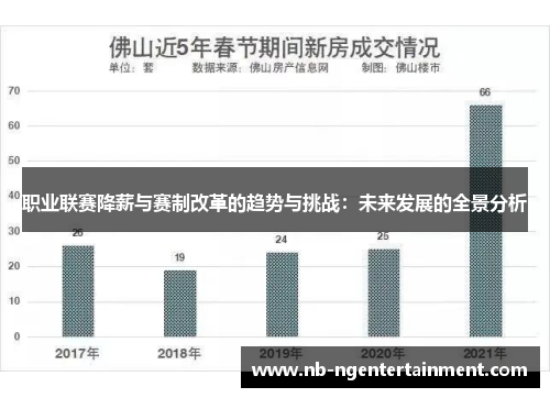 职业联赛降薪与赛制改革的趋势与挑战：未来发展的全景分析