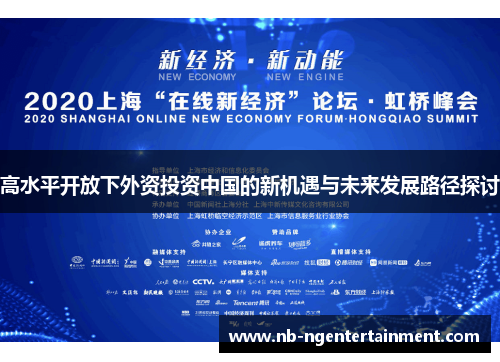高水平开放下外资投资中国的新机遇与未来发展路径探讨