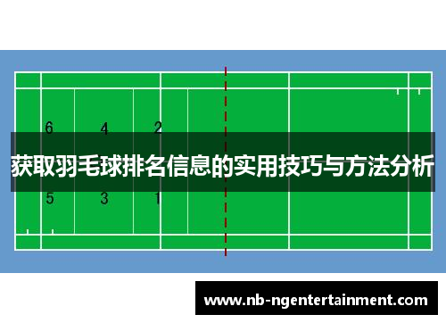 获取羽毛球排名信息的实用技巧与方法分析